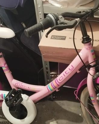 Bicicletta Ruota 20