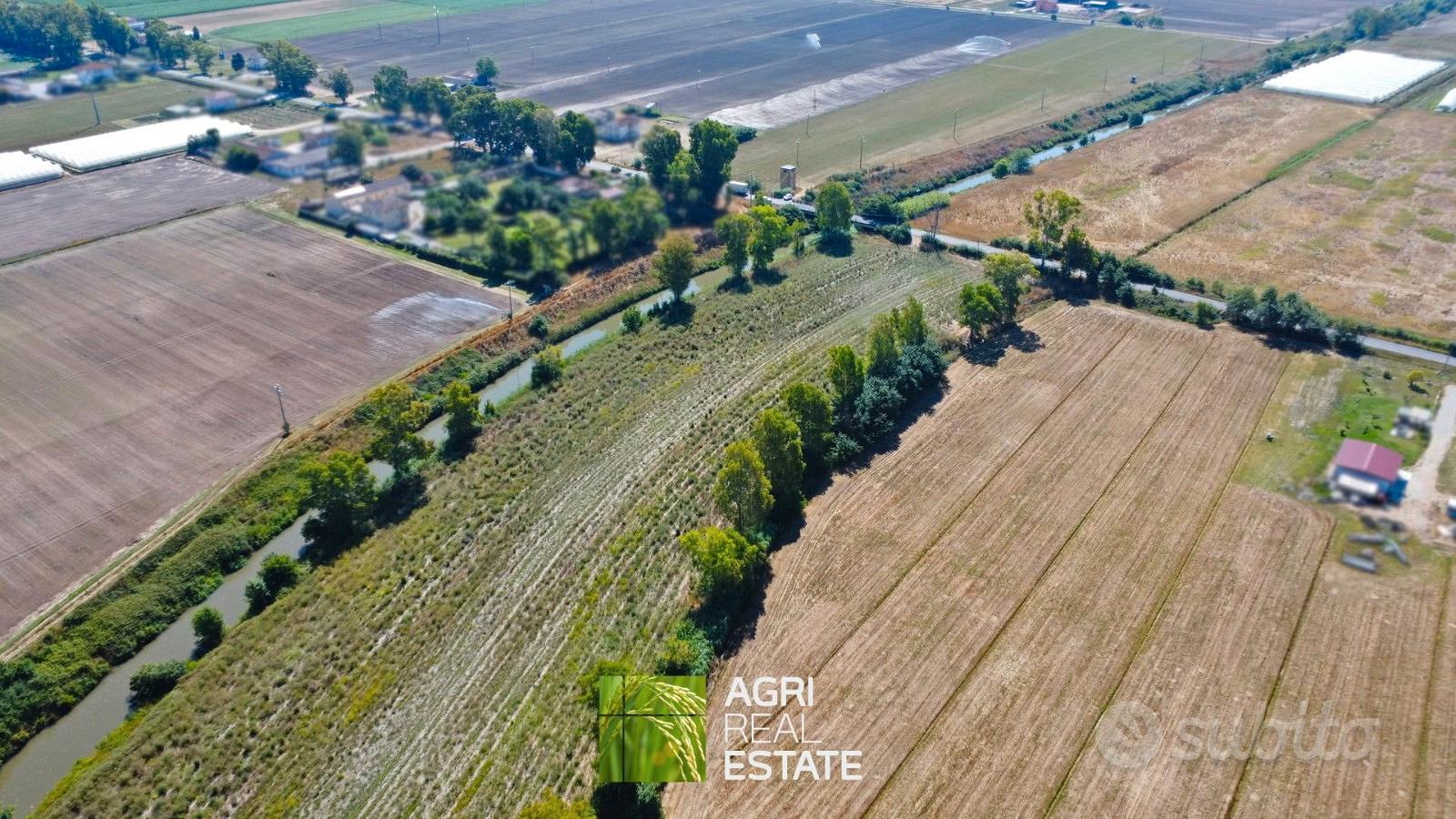 Terreno agricolo 2 ettari fronte strada - Vista 4