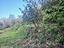 Immagine 30