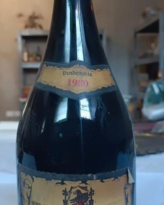 Bottiglia Vintage Barbera del Piemonte