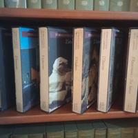 Storia e civiltà della Campania Electa