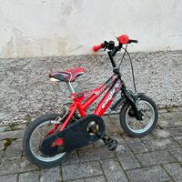 Bicicletta bambino 2-4 anni