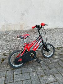 Bicicletta bambino 2-4 anni