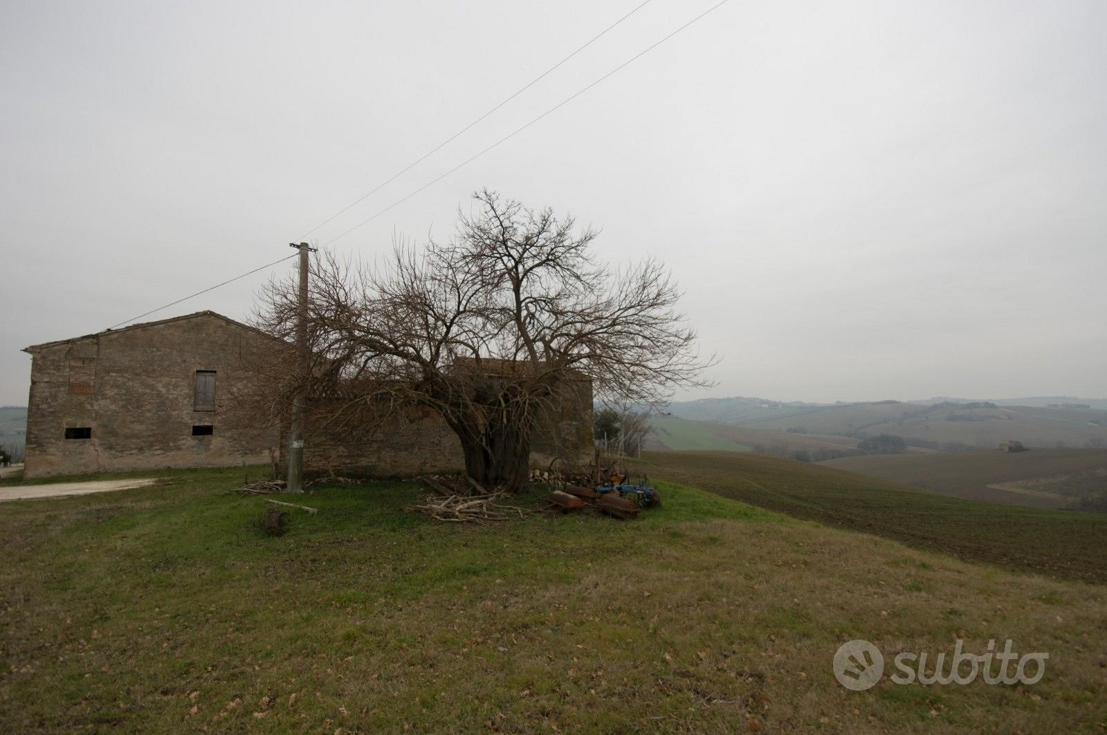 Terreno e rustico agricolo - Vista 2