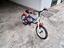 Immagine 1