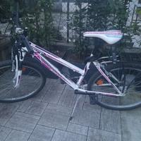 Bicicletta ragazza