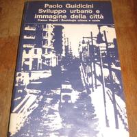 SVILUPPO URBANO E IMMAGINE DELLA CITTÀ GUIDICINI