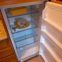 frigo DeLonghi incasso 220l con congelatore