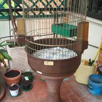 Voliera MAX6 OTTONATA FERPLAST