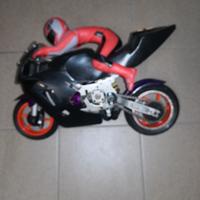 moto RC Nuova FAOR SF501 