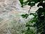 Immagine 19