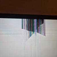 Monitor LG 27UD59-B Non funzionante 