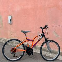 Bici Bambino Mtb 24