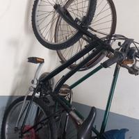 bicicletta mountain bike 