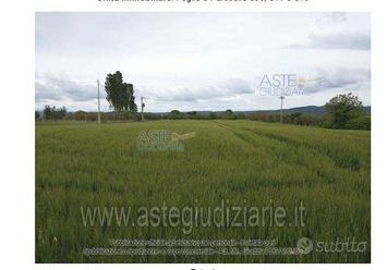 Terreno Agricolo Marta [A4245822]