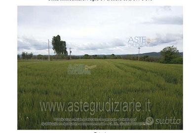 Terreno Agricolo Marta [A4245822]