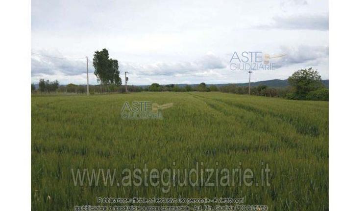 Terreno Agricolo Marta [A4245822]