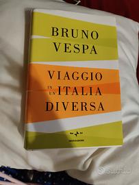 libro viaggio in un' Italia diversa di bruno vespa