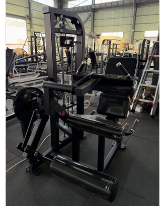 Seated Leg Curl / Leg Extension Combo HR