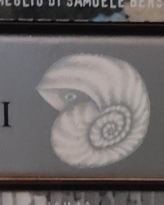 Cofanetto CD Nomadi, The Platinum Collection