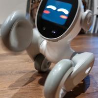Loona Smart Petbot di Keyrobot