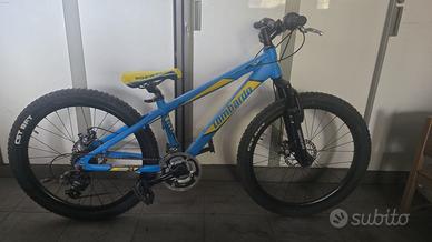 Bicicletta Lombardo mozia 24