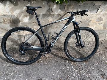 Specialized stumpjumper L