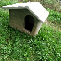 cuccia cane