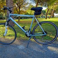 Bici da Trekking