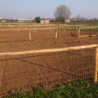 Orti Urbani