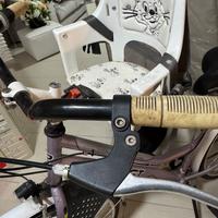 Bicicletta da donna
