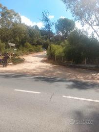 Terreno agricolo