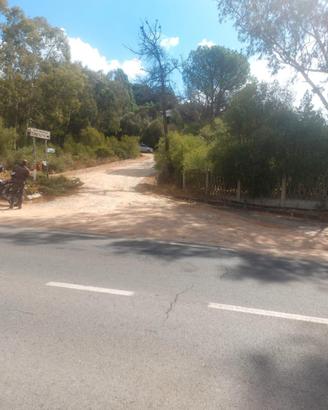 Terreno agricolo