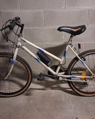 Mountain Bike diametro 24