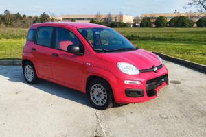 Fiat panda 2017
