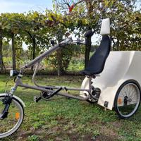 Bici trike elettrica