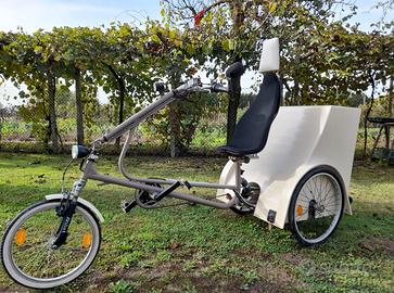 Bici trike elettrica