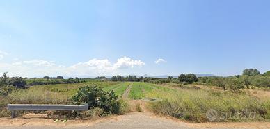 Terreno agricolo recintato di 5800 metri quadri