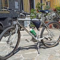 Bicicletta MTB Silver Star
