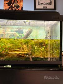 Acquario  250L da riparare, completo di substrato
