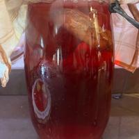 Scoby Kombucha
