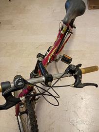 Mountain bike 