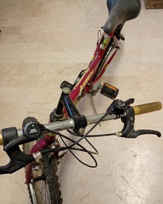 Mountain bike 