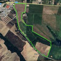 TERRENO AGRICOLO - Petacciato (CB)