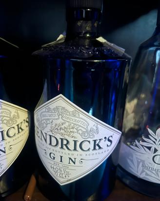 Bottiglia Hendrick’s per lampada