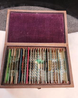 Antica collezione 27 vetrini slides