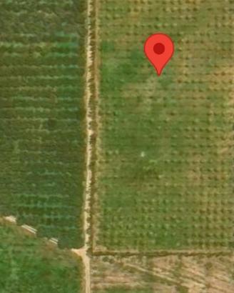 Terreno Agricolo di 3 Ettari