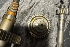 RAPPORTI MALOSSI PIAGGIO