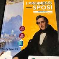 I promessi sposi antologia 9788849422801