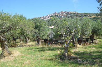 TER. AGRICOLO A TIVOLI